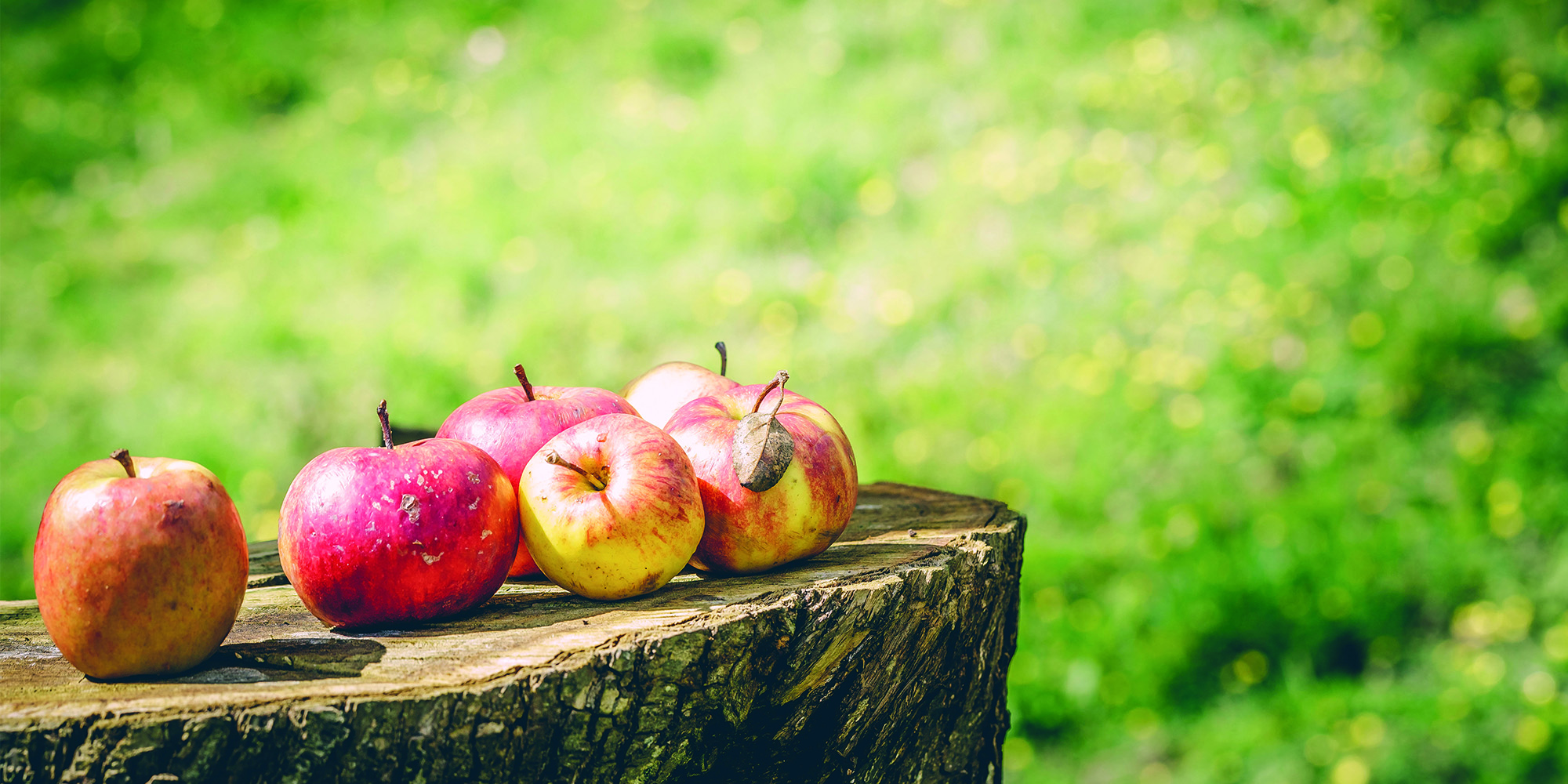 The best possible taste from Cornish Orchards Cornwall Living