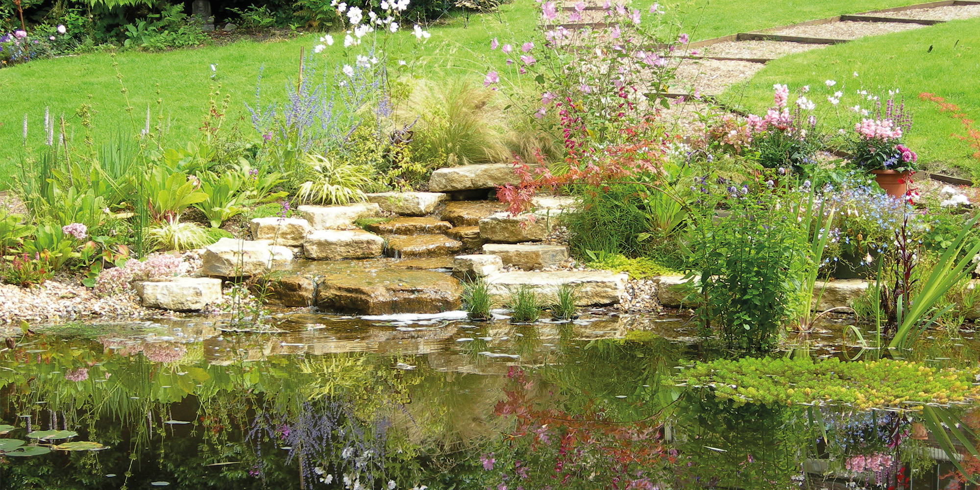 What a feature! Cornwall Ponds Cornwall Living