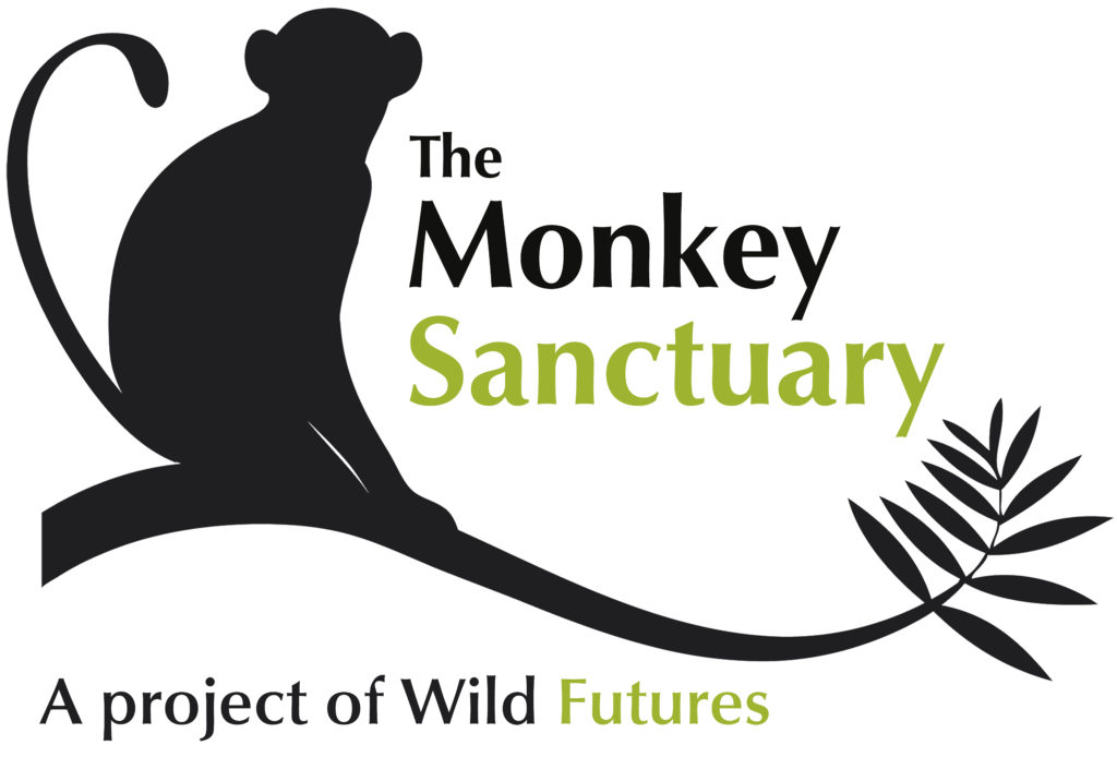 Wild Futures Logo