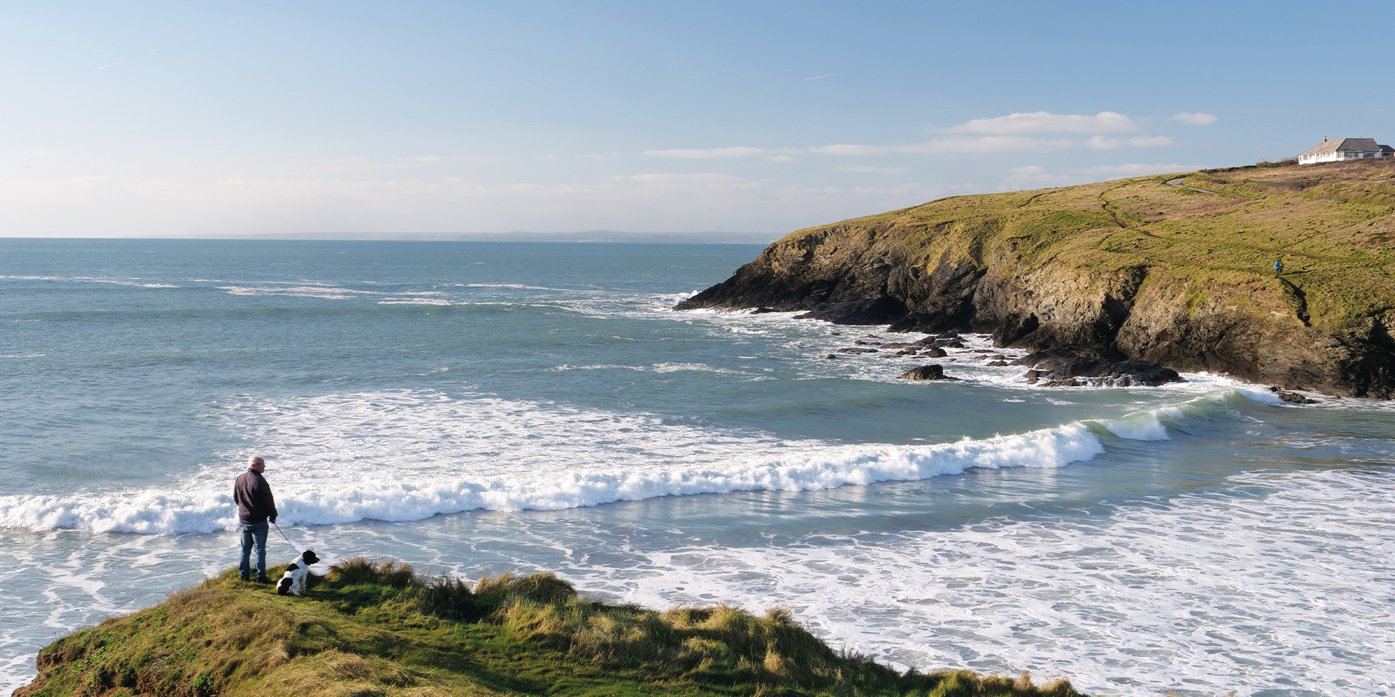 Canine capers Cornwall Living