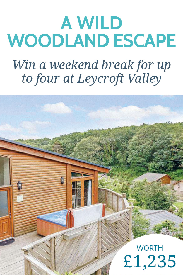 Image: https://cornwall-living.co.uk/wp-content/uploads/2021/08/CL-112-Comp-Buttons3.jpg