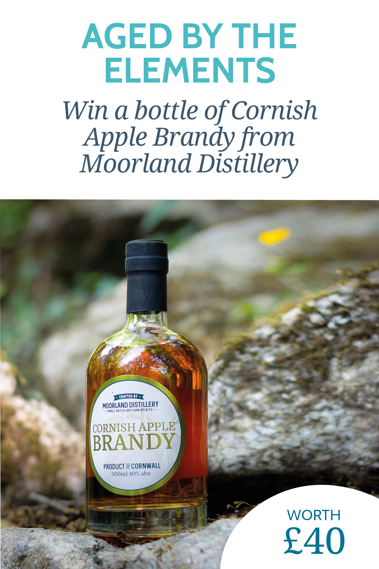 Image: https://cornwall-living.co.uk/wp-content/uploads/2021/11/CL-116-Comp-Buttons2.jpg