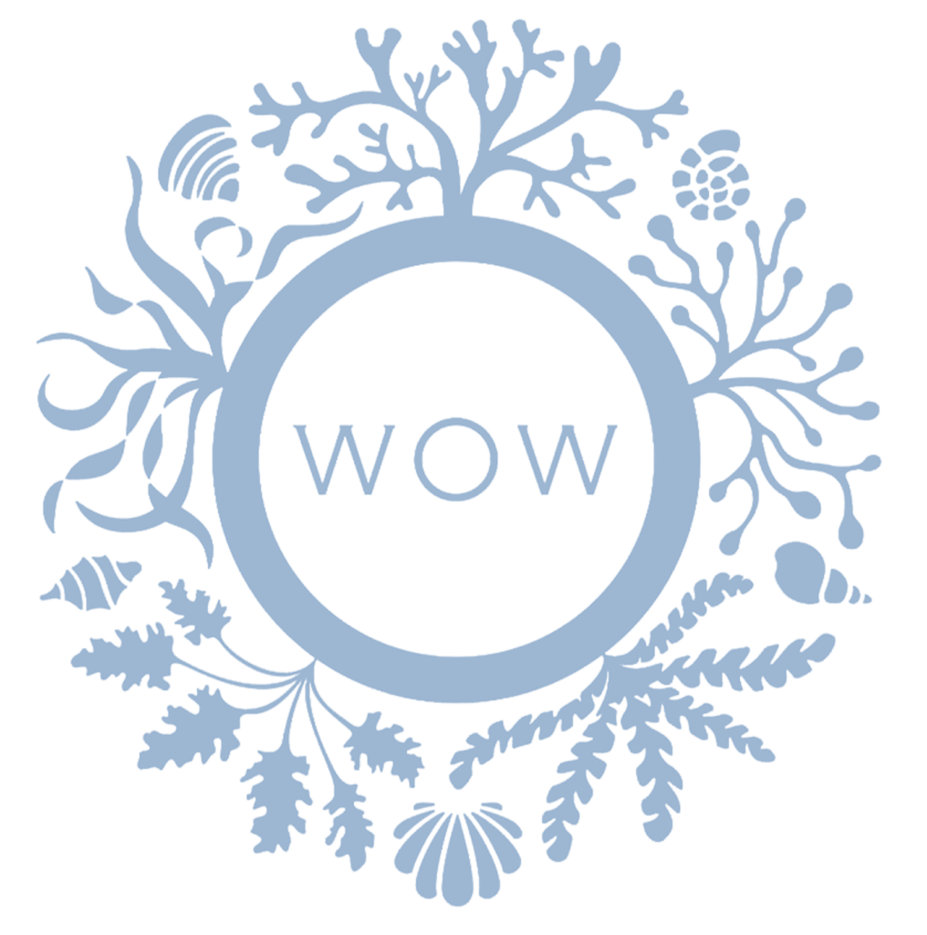 WOW Cornwall Logo