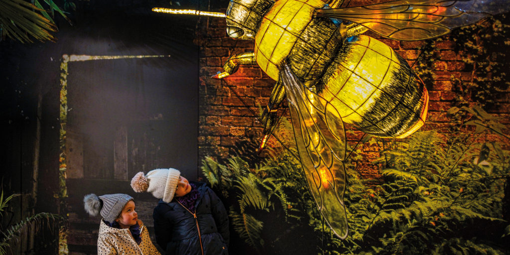 Cornwall Living - things to do this Christmas