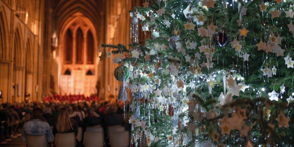 Truro Cathedral at Christmas