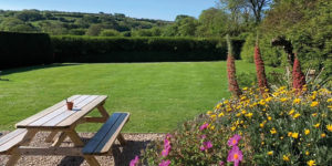 Spacious lawn and picnic area bordered by flowers and hedges at Trewidden, offering a relaxed outdoor spot for visitors and their dogs.
