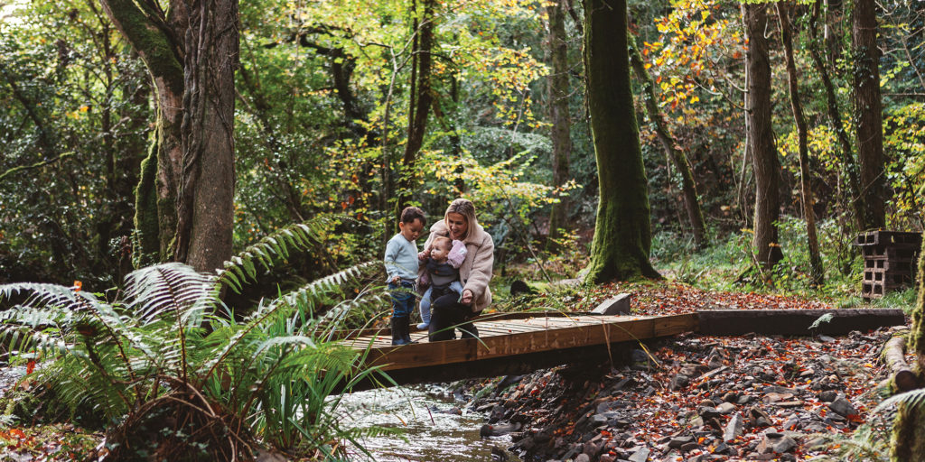 A family exploring a woodland walk, gathered on a small wooden bridge over a stream.